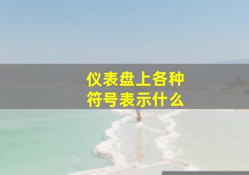 仪表盘上各种符号表示什么