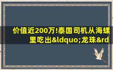 价值近200万!泰国司机从海螺里吃出“龙珠”