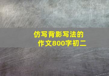 仿写背影写法的作文800字初二