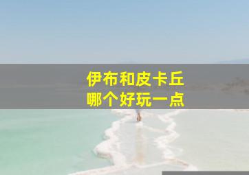 伊布和皮卡丘哪个好玩一点