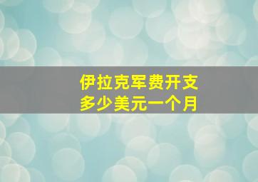 伊拉克军费开支多少美元一个月