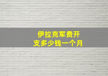 伊拉克军费开支多少钱一个月