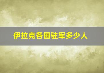 伊拉克各国驻军多少人