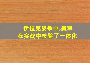 伊拉克战争中,美军在实战中检验了一体化