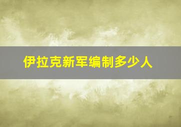 伊拉克新军编制多少人