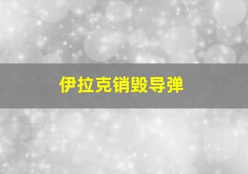 伊拉克销毁导弹