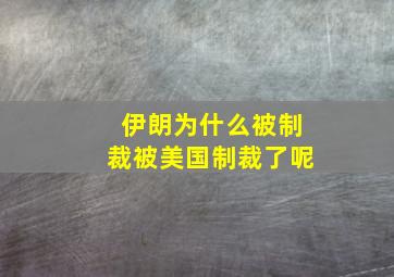 伊朗为什么被制裁被美国制裁了呢