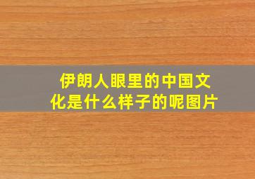 伊朗人眼里的中国文化是什么样子的呢图片