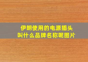 伊朗使用的电源插头叫什么品牌名称呢图片