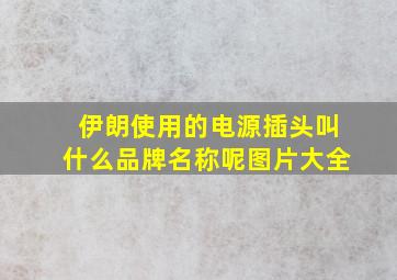 伊朗使用的电源插头叫什么品牌名称呢图片大全