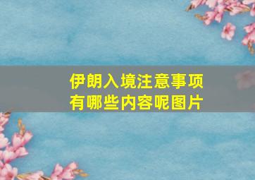 伊朗入境注意事项有哪些内容呢图片