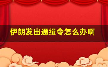 伊朗发出通缉令怎么办啊