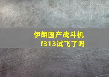 伊朗国产战斗机f313试飞了吗