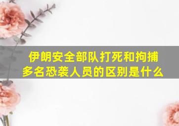 伊朗安全部队打死和拘捕多名恐袭人员的区别是什么