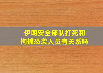 伊朗安全部队打死和拘捕恐袭人员有关系吗