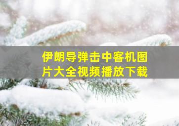 伊朗导弹击中客机图片大全视频播放下载