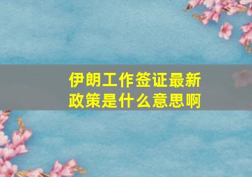 伊朗工作签证最新政策是什么意思啊