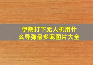 伊朗打下无人机用什么导弹最多呢图片大全