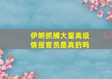 伊朗抓捕大量高级情报官员是真的吗