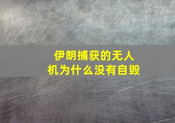 伊朗捕获的无人机为什么没有自毁