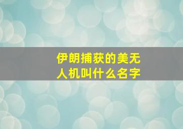 伊朗捕获的美无人机叫什么名字