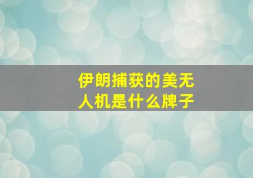 伊朗捕获的美无人机是什么牌子