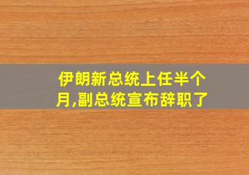 伊朗新总统上任半个月,副总统宣布辞职了