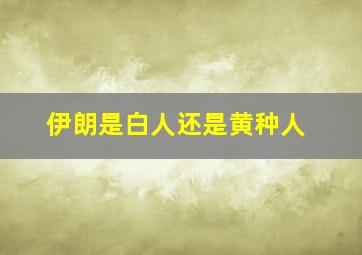 伊朗是白人还是黄种人