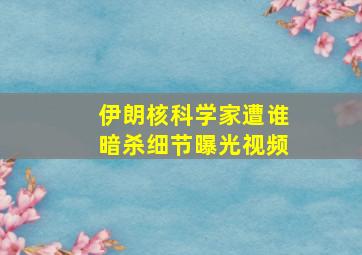 伊朗核科学家遭谁暗杀细节曝光视频