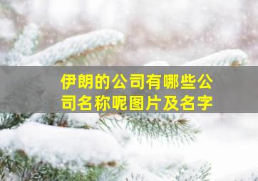 伊朗的公司有哪些公司名称呢图片及名字