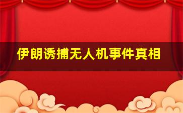 伊朗诱捕无人机事件真相