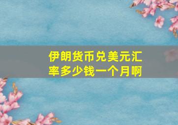 伊朗货币兑美元汇率多少钱一个月啊