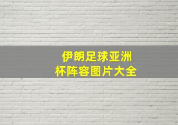 伊朗足球亚洲杯阵容图片大全