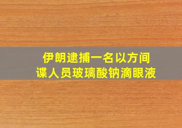 伊朗逮捕一名以方间谍人员玻璃酸钠滴眼液