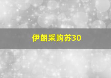 伊朗采购苏30