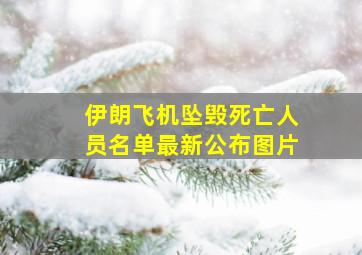 伊朗飞机坠毁死亡人员名单最新公布图片