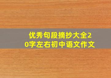 优秀句段摘抄大全20字左右初中语文作文