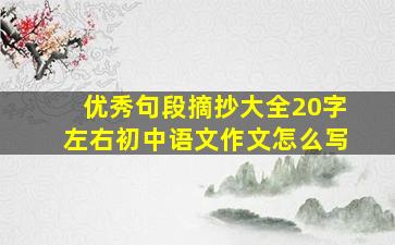 优秀句段摘抄大全20字左右初中语文作文怎么写