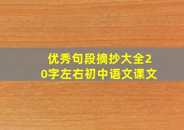 优秀句段摘抄大全20字左右初中语文课文