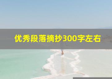 优秀段落摘抄300字左右