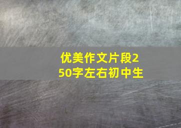 优美作文片段250字左右初中生