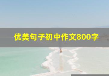 优美句子初中作文800字