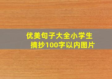 优美句子大全小学生摘抄100字以内图片