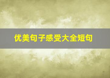 优美句子感受大全短句