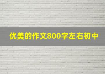 优美的作文800字左右初中