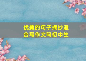 优美的句子摘抄适合写作文吗初中生