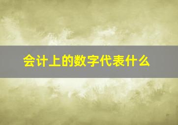 会计上的数字代表什么