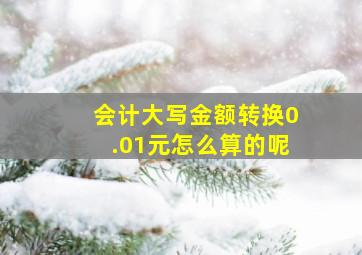 会计大写金额转换0.01元怎么算的呢