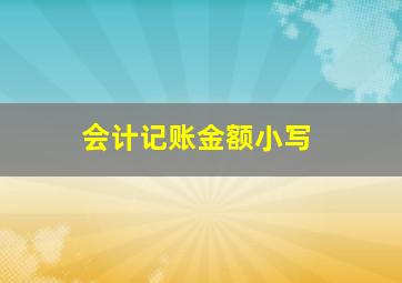 会计记账金额小写