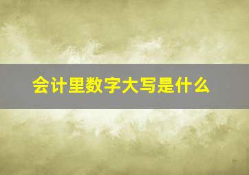 会计里数字大写是什么